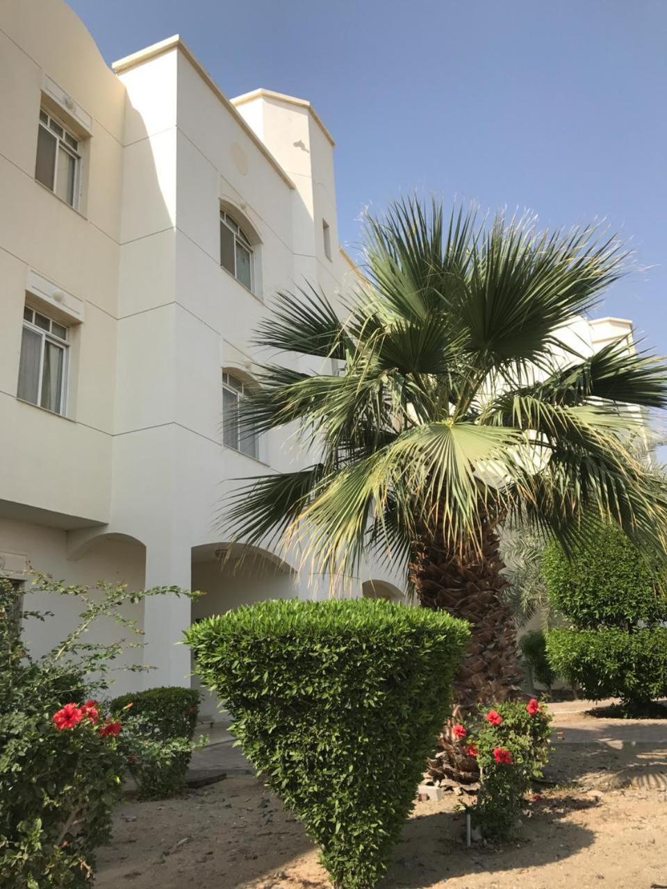 Apartment Durrat Al-arus Dahaban *